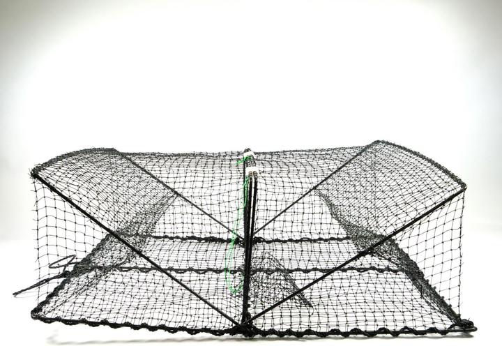 Actual product image Ragot fishing net
