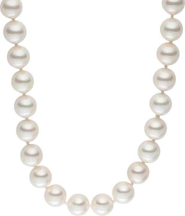 Immagine prodotto Lulu & Jane Conchiglia da donna bianca 80,0 cm - 29267 (Perla di conchiglia, 80 cm)