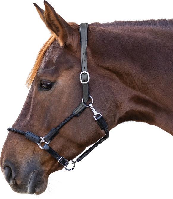 Actual product image Waldhausen Nevada