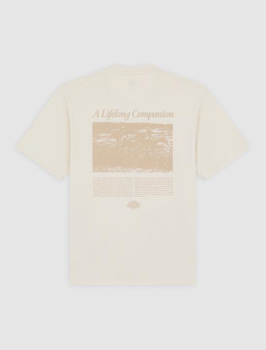 Produktbild Dickies Companion Script SS Tee (S)