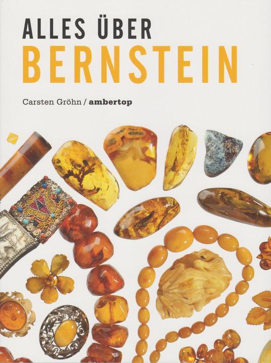 Immagine prodotto Gröhn:Alles über Bernstein (Tedesco, Carsten Gröhn, 2024)