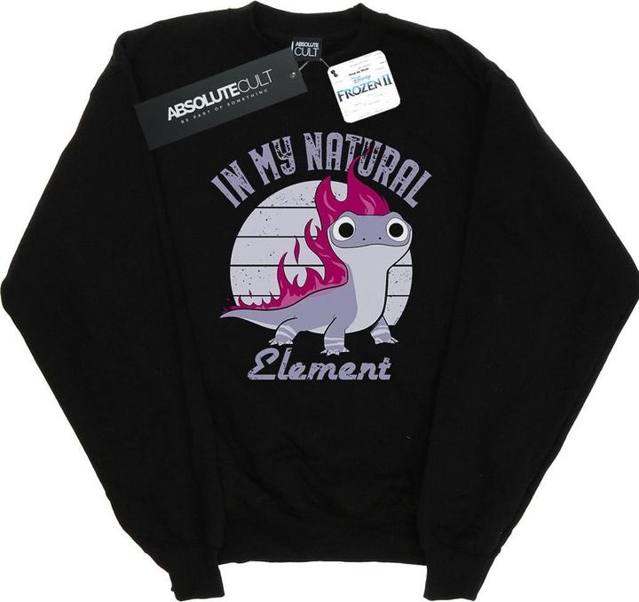 Actual product image Disney Mens Frozen 2 Salamander Bruni Element Sweatshirt (S)