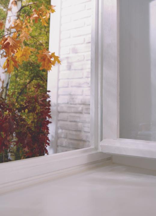 Actual product image tesa 2x tesamoll CLASSIC P-profile window seal, rubber seal for insulation, pack of two