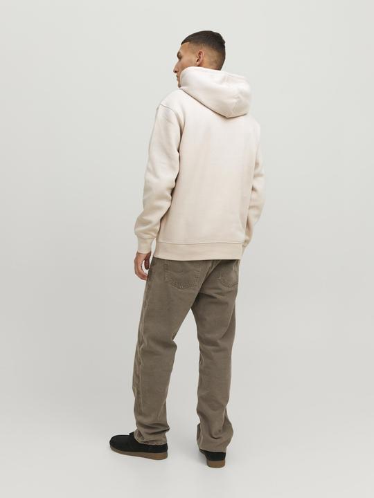 Image du produit Jack & Jones Sweat à capuche (S)