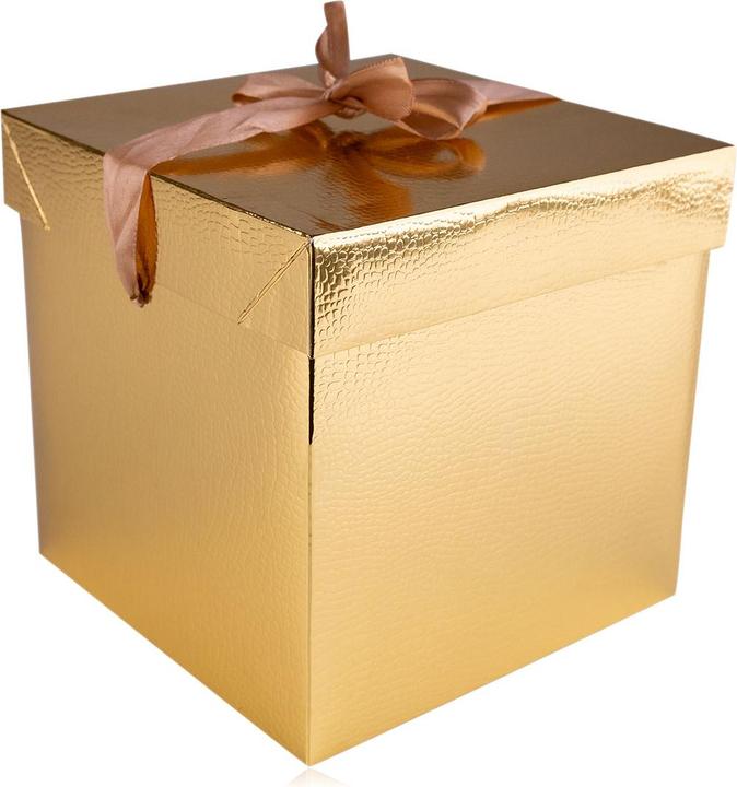 Immagine prodotto Accentra Scatola regalo (Borsa da regalo, 1 x)