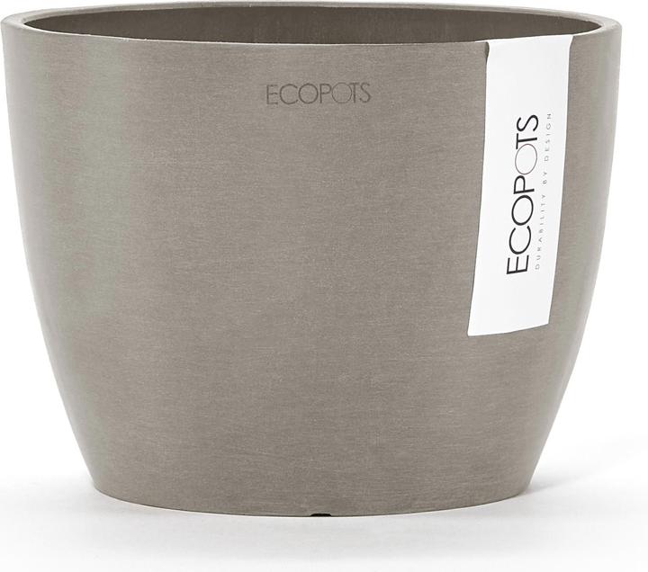 French Taupe