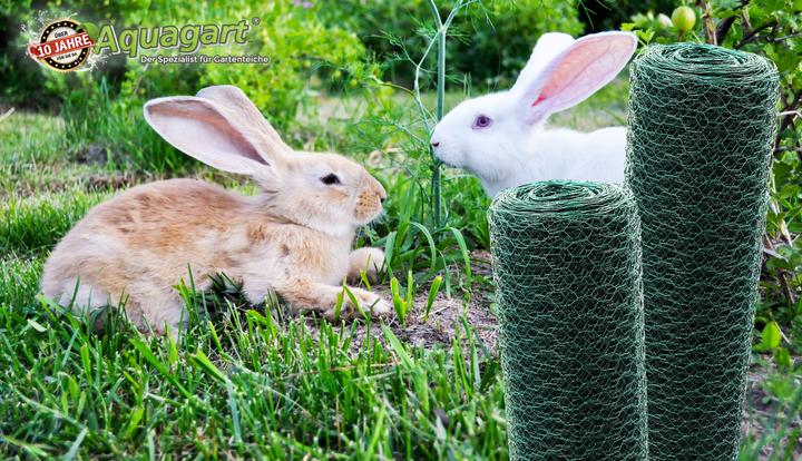 Actual product image Aquagart 20m Sechseckgeflecht Hühnerzaun Kaninchendraht Hasengitter grün Hasendraht 50cm