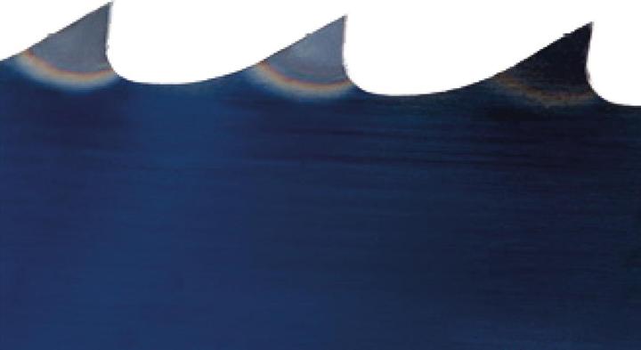 Produktbild Holzstar Sägeband 2240 x 16 x 0,5 mm, 4 ZpZ