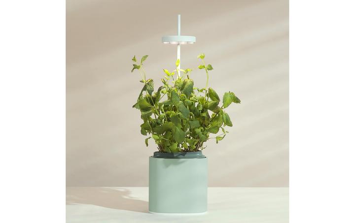 Produktbild Prêt à Pousser Kräutertopf Nano, Celadon Green (13.50 cm)