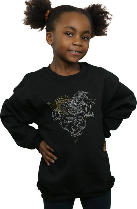 Image du produit - Sweat THESTRAL LINE ART - Fille (116)