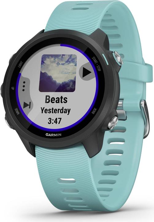 Garmin Forerunner 245 Music (42.30 mm)