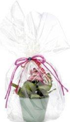 Produktbild Folia Geschenkfolie Rolle glasklar (Geschenkfolie, 1 x)