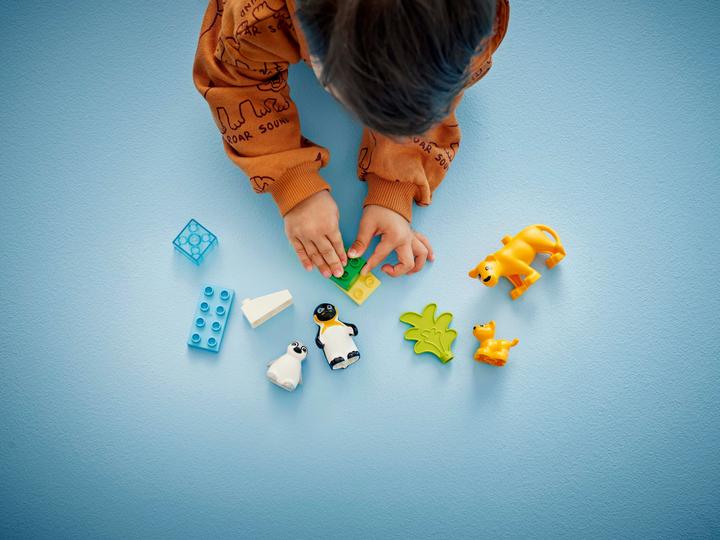 Image du produit LEGO Wildtier-Familien: Pinguine und Löwen (10442)