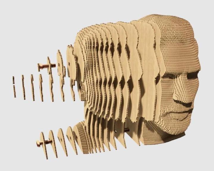 Actual product image Cartonic CARTMLMS - Lionel Messi (103 pieces)