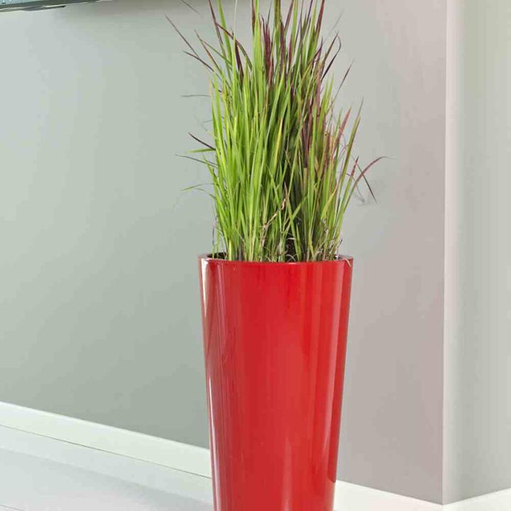 Actual product image Euro3plast Planter (33 cm)