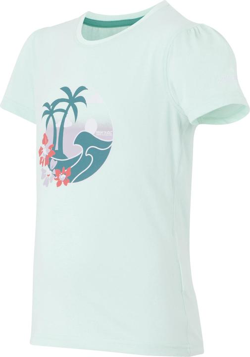 Image du produit Regatta - T-shirt BOSLEY - Enfant (164)