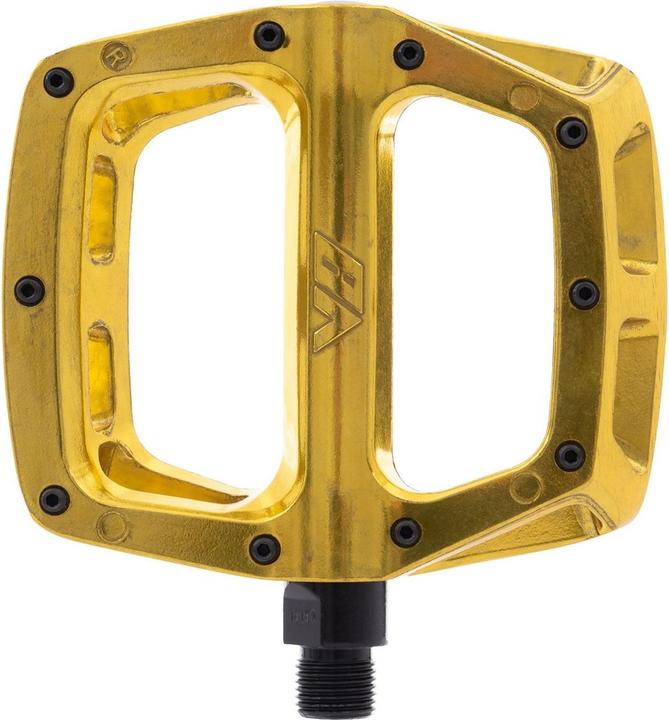 L'oro degli sciocchi