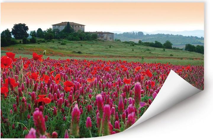 Produktbild Trenddeko Blumenwiese Toskana (90 x 60 cm)