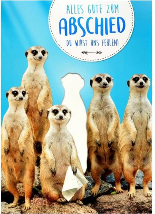 Produktbild ABC Erdmännchen (1 Stk.)