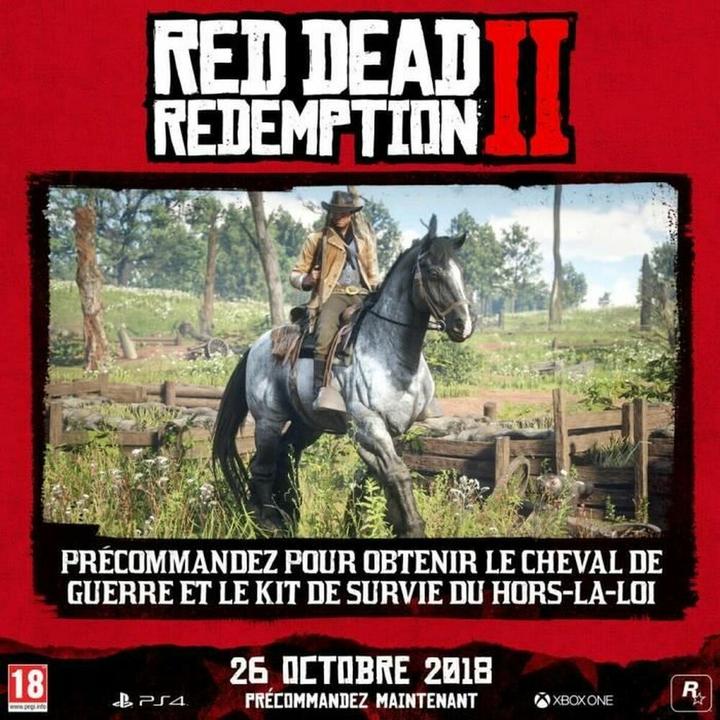 Produktbild 2K Games Red Dead Redemption 2 (PS4, FR)