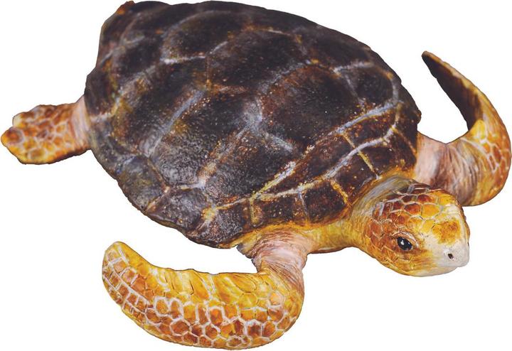 Actual product image Collecta Loggerhead Turtle (M)