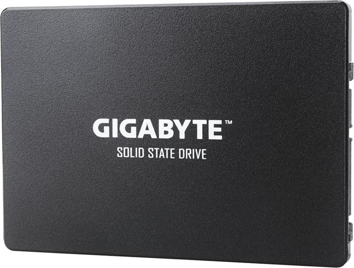 Image du produit Gigabyte GP-GSTFS31100TNTD (1000 Go, 2.5")