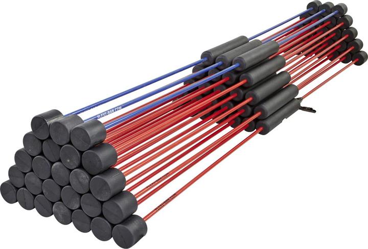 Actual product image Flexi-Bar Set, 22x STANDARD, 3x INTENSIVE, 4x DVDs, 30-pack transport bag