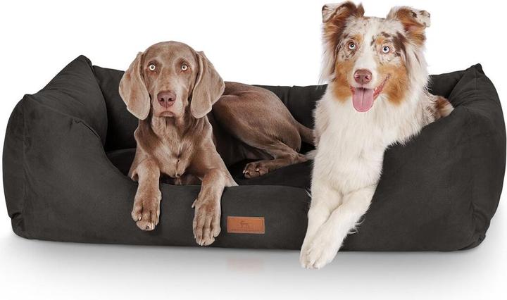 Actual product image Knuffelwuff Dreamline (Dog)