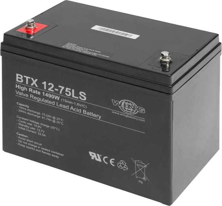Actual product image Wing BTX12-75LS 12V 75Ah high rate high current lead battery AGM lead gel battery (12 V, 75 Ah)