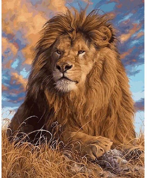 Actual product image Pracht Diamond Painting Lion