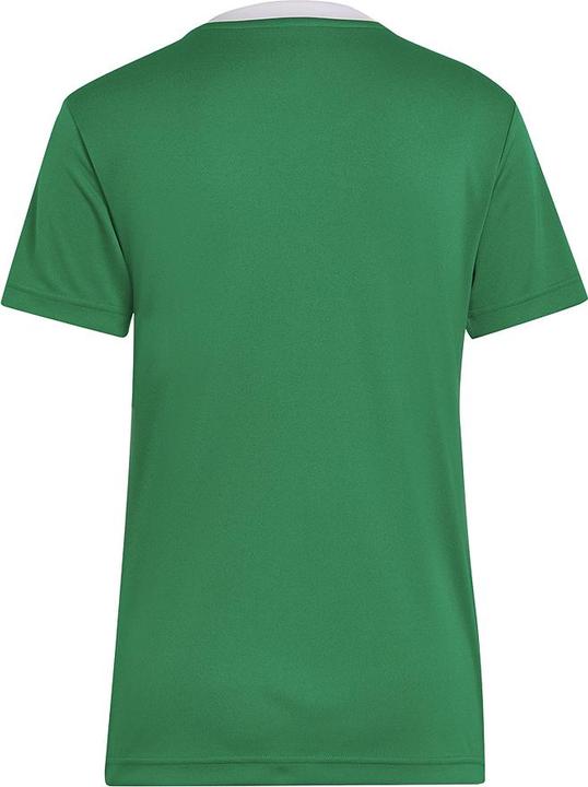 Immagine prodotto adidas Camicia da calcio Entrada 22 Donna (S)