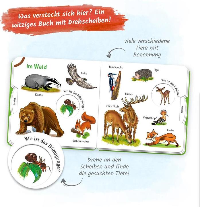 Produktbild GmbH & Co. KG (Deutsch, Trötsch Verlag GmbH & Co. KG, 2021)
