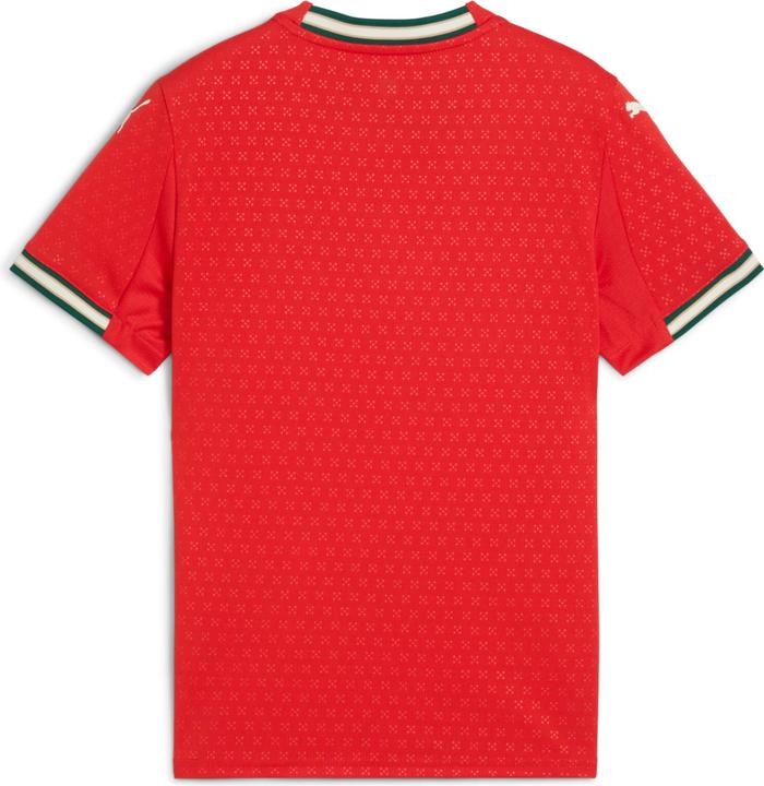 Puma FPF Home Jersey Replica Jr
