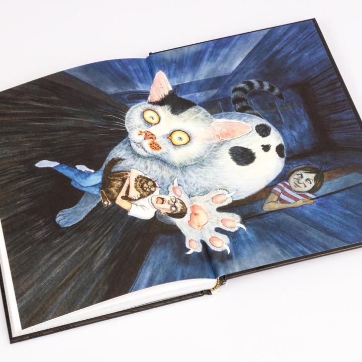 Productafbeelding Junji Itos Katzentagebuch (Duits, Junji Ito, 2025)