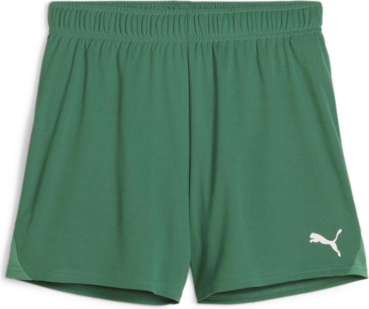 Puma teamGOAL Handball Shorts W