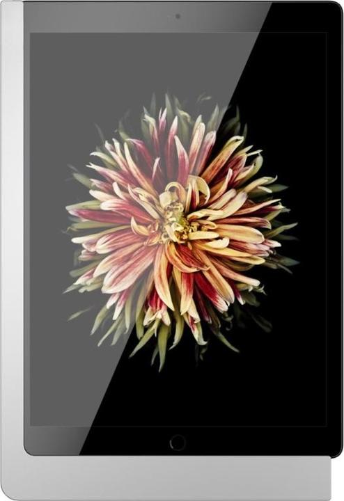Produktbild Viveroo iPad