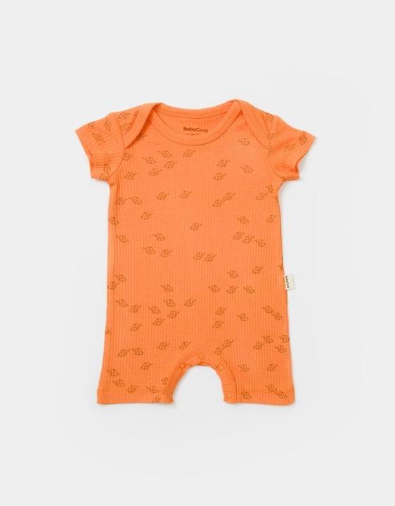 Image du produit BabyCosy Grenouillère courte. manches courtes. 2 Pack (86)