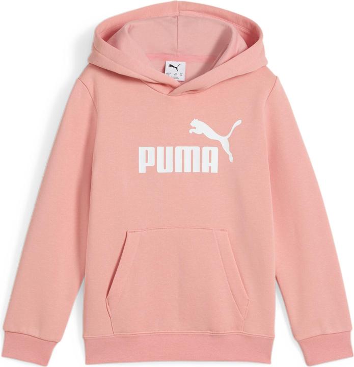 Image du produit Puma Sweat à capuche ESS No. 1 Logo FL PS (122)