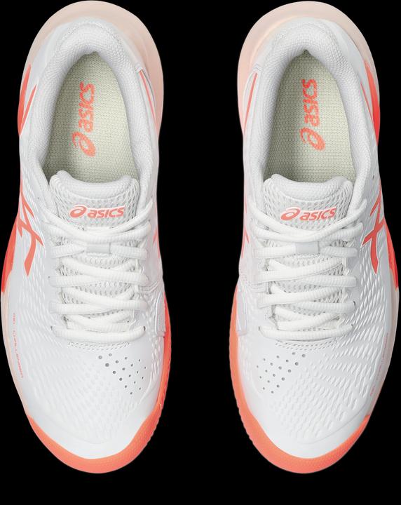 Immagine prodotto ASICS Performance Gel Challenger 14 Clay (40.5)