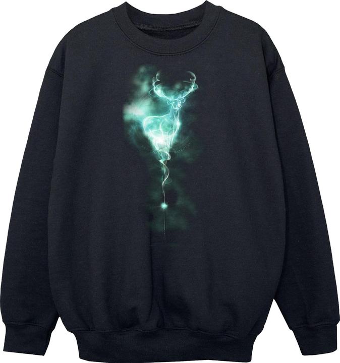 Immagine prodotto Felpa da ragazzo Patronus Mist (152, 158)