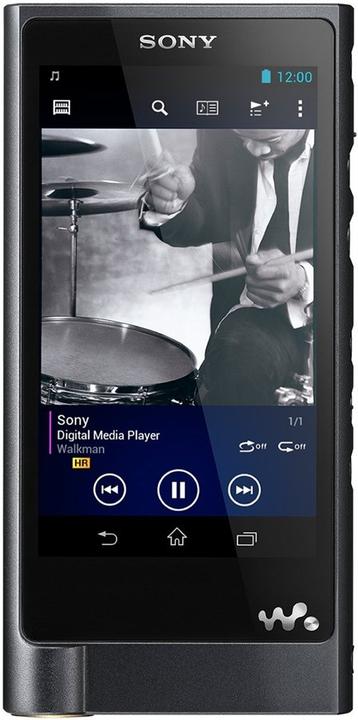 Actual product image Sony Nw-Zx2 (128 GB)