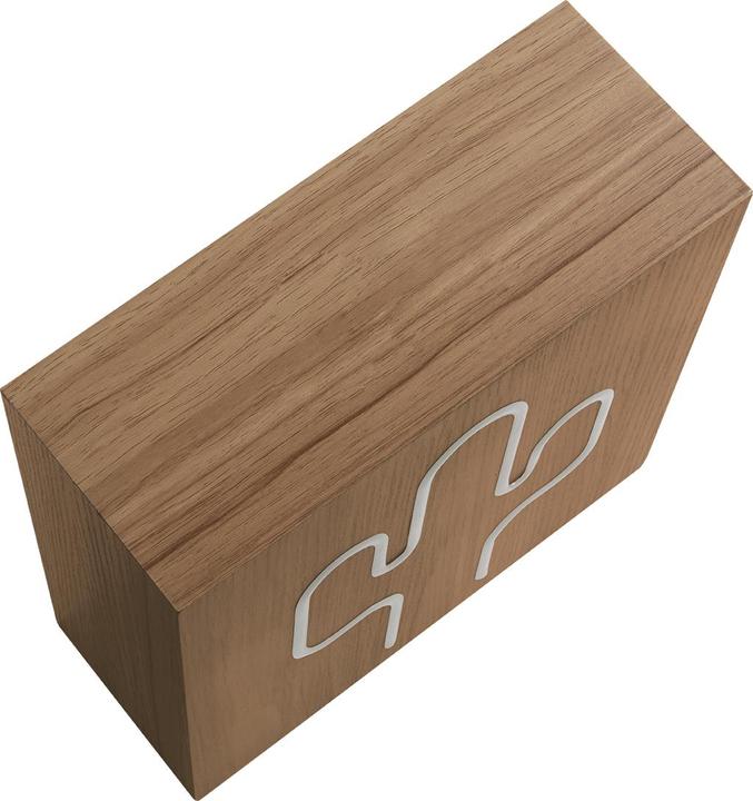 Actual product image Colorblock Luminous speaker (Electrical connection)