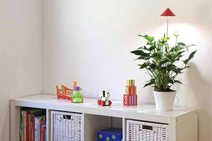 Actual product image Colibri Sunlite (LED, 230 V)