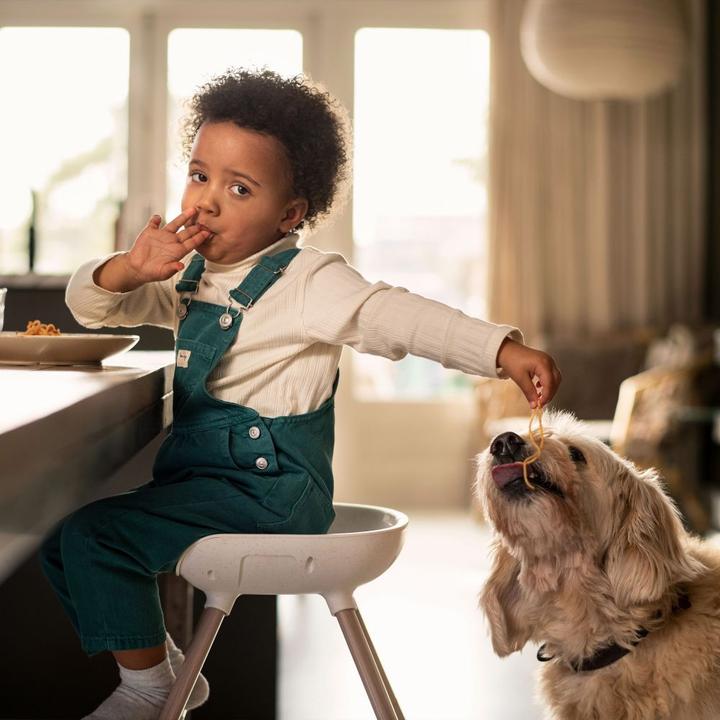 Actual product image Maxi-Cosi High chair Moa White (High chair booster seat)