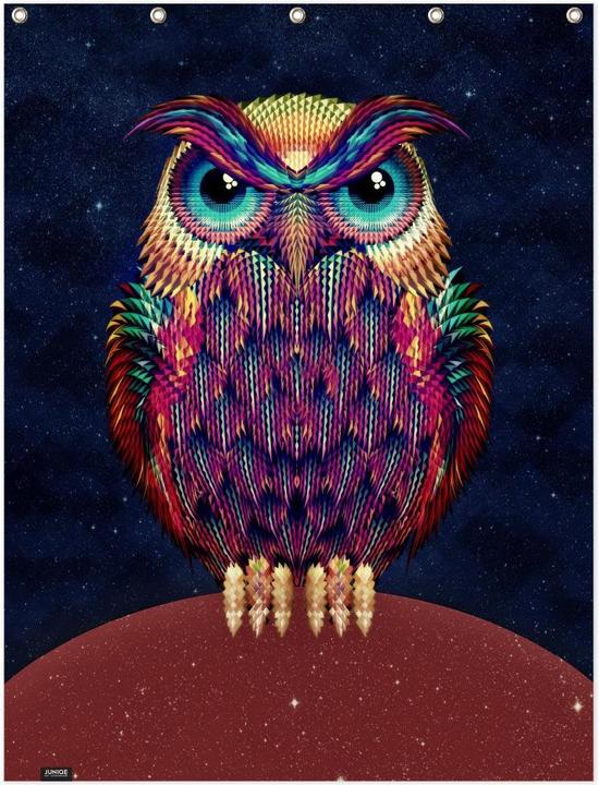 Image du produit Juniqe Owl 2 - Chouettes (150 x 200 cm)
