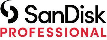 Actual product image SanDisk Professional Pro Blade Station 0TB