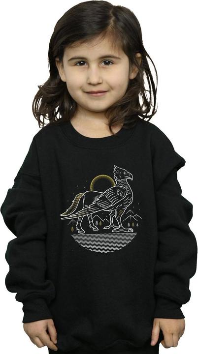 Image du produit - Sweat BUCKBEAK LINE ART - Fille (152, 158)
