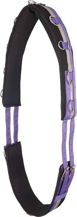 Actual product image Imperial Riding IRHDeluxe Nylon Horse Lunging Girth