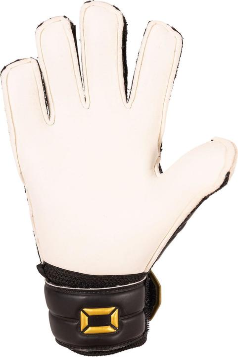 Stanno Thunder VI (7)