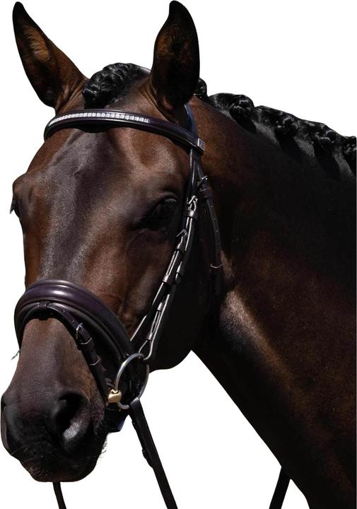 Actual product image Premier Equine Castello